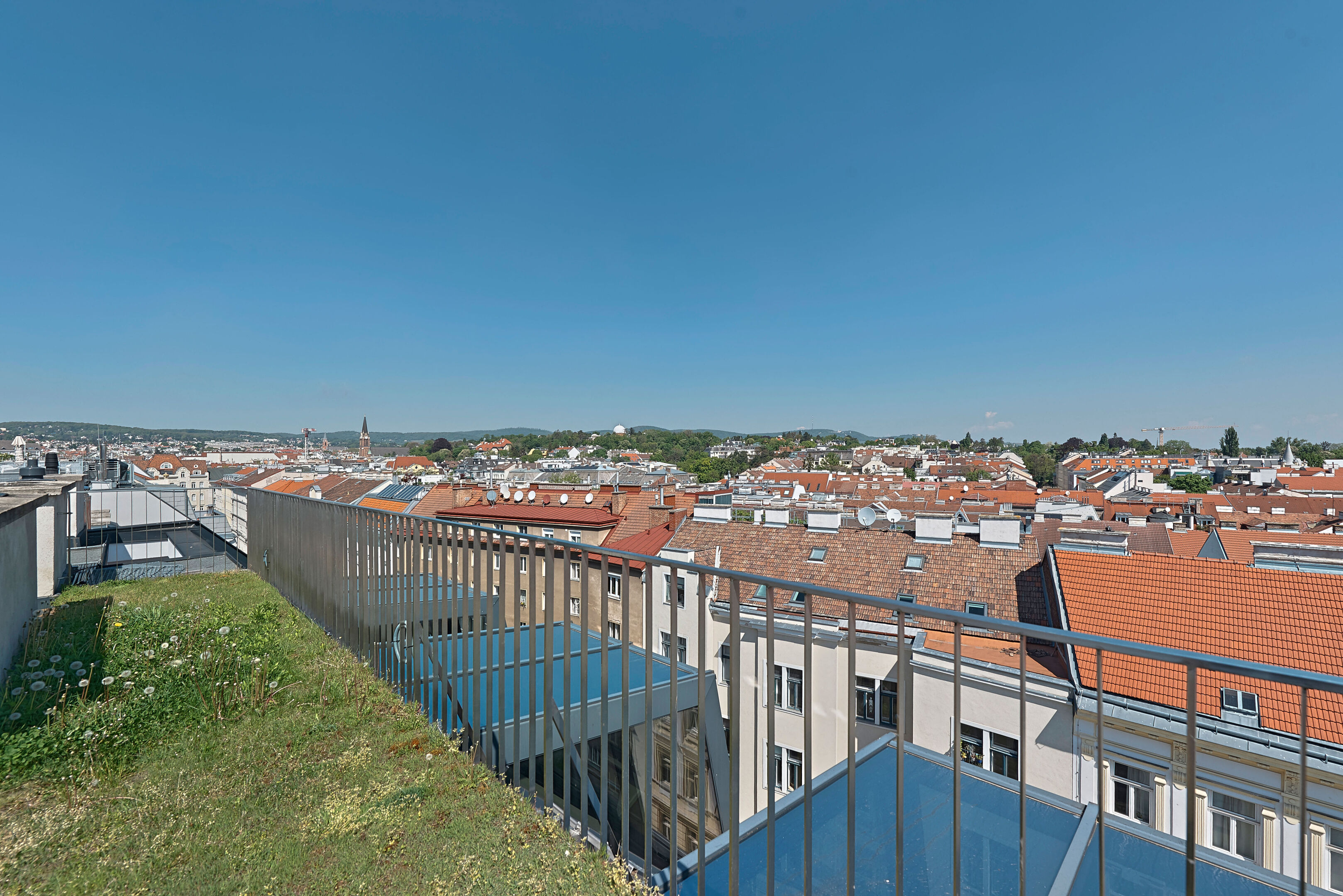 DSC8310-9020