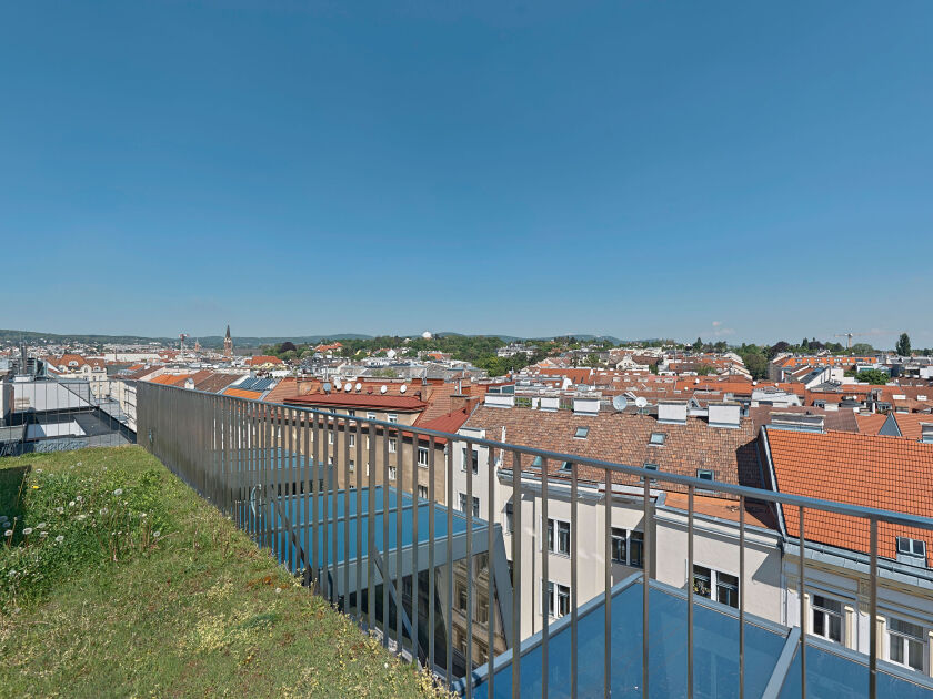 DSC8310-9020