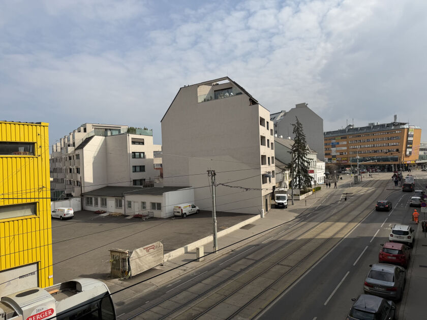 IMG 0233