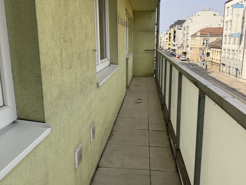 IMG 0237