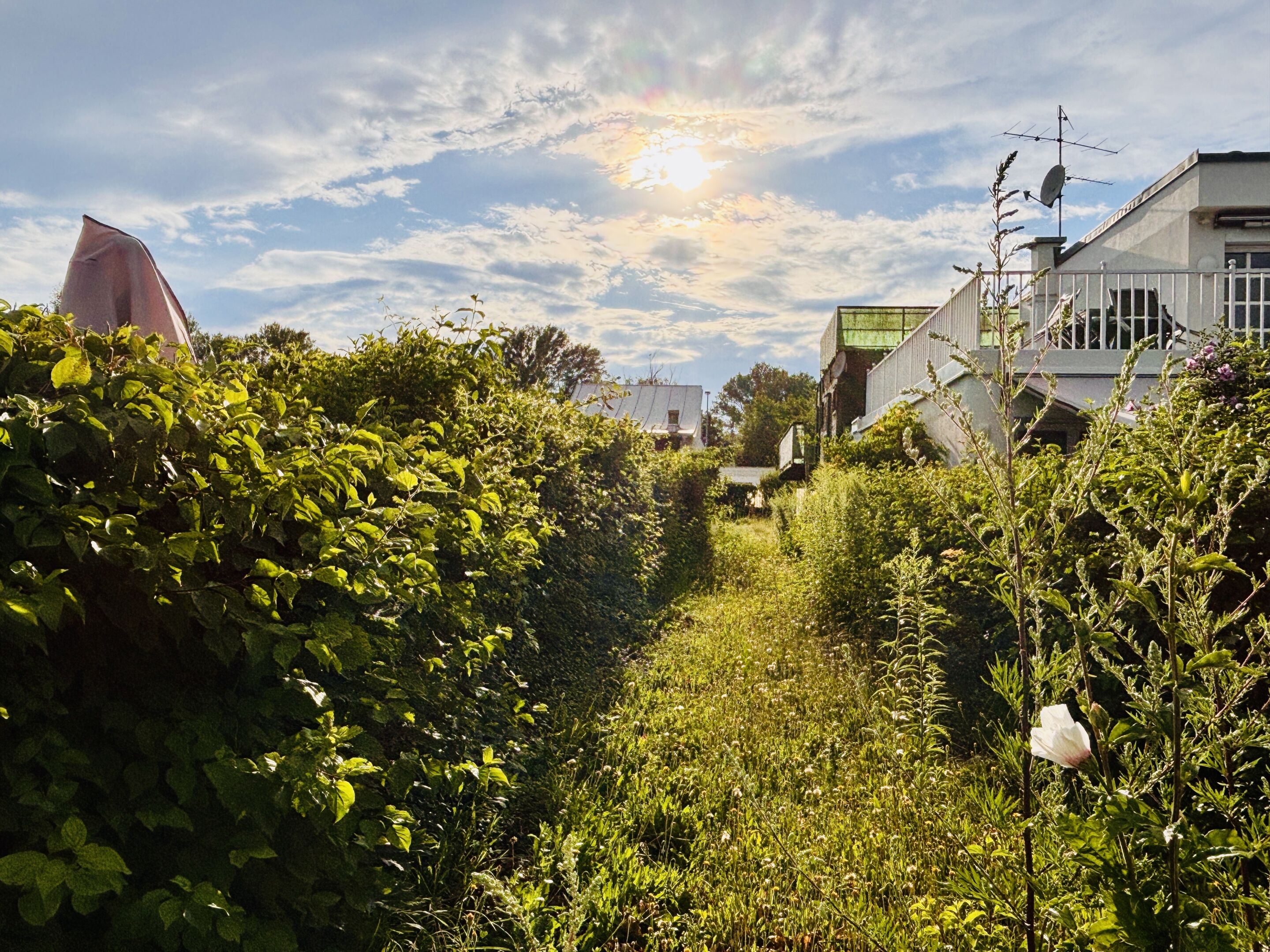 Blick Richtung Haus