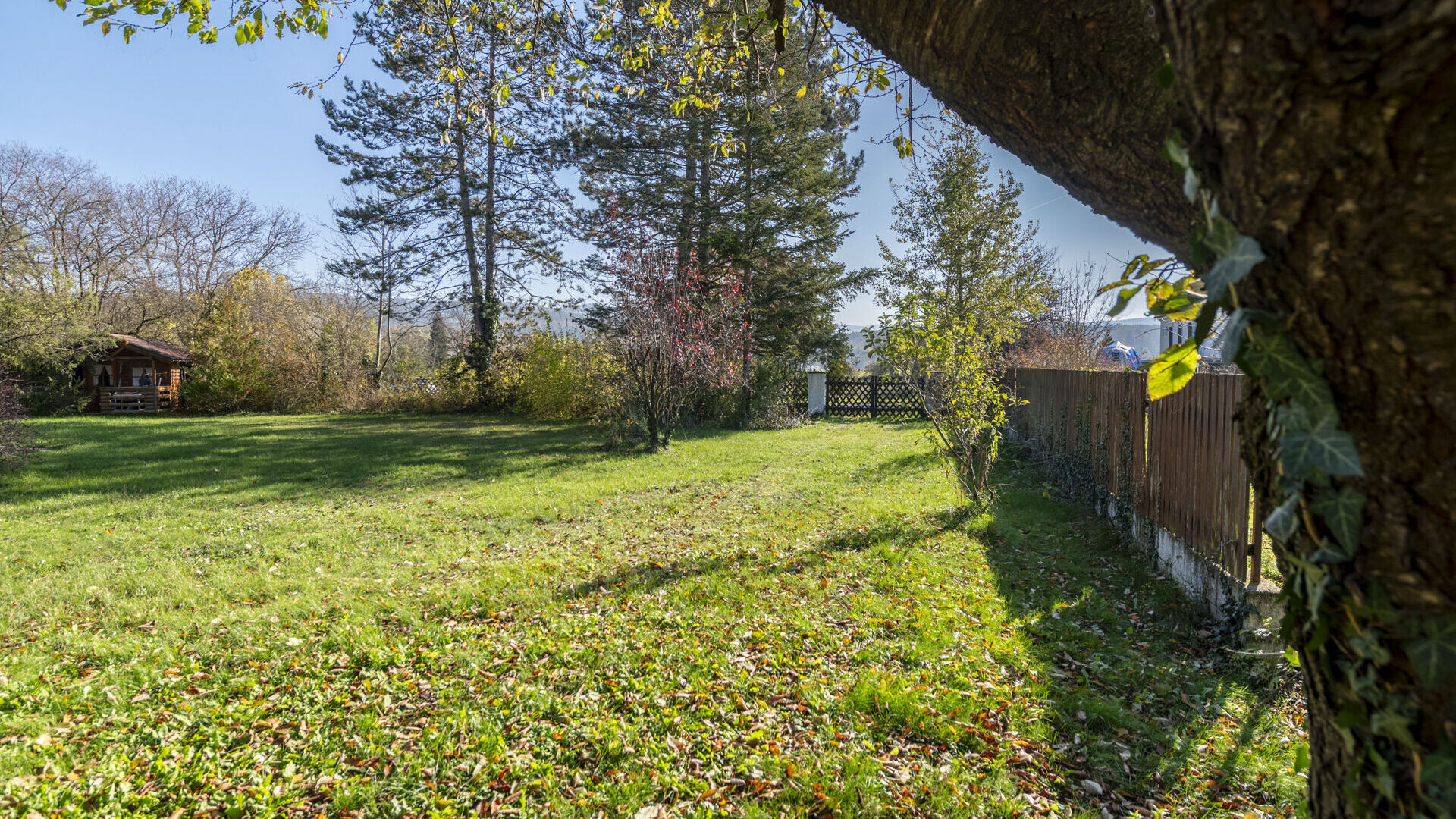 2024-11-05-S00541-036