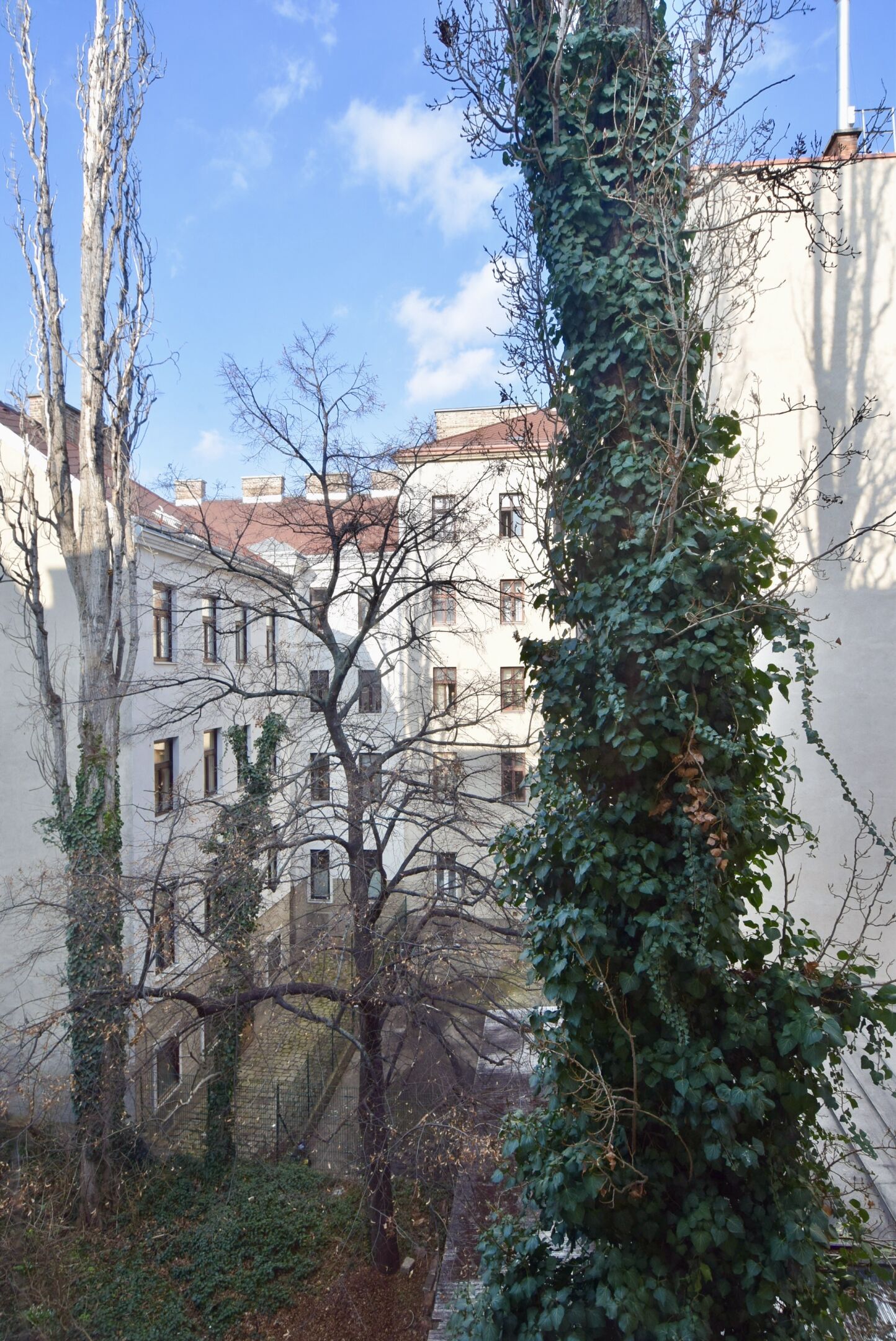 DSC 0063