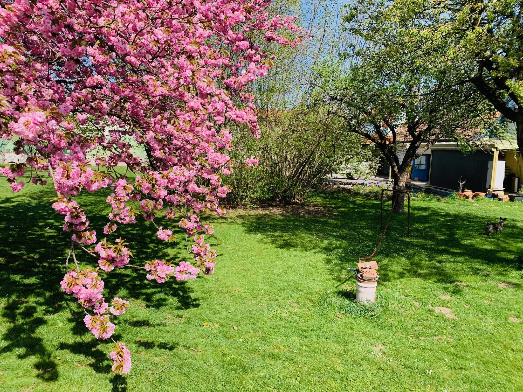 Gartenparadies