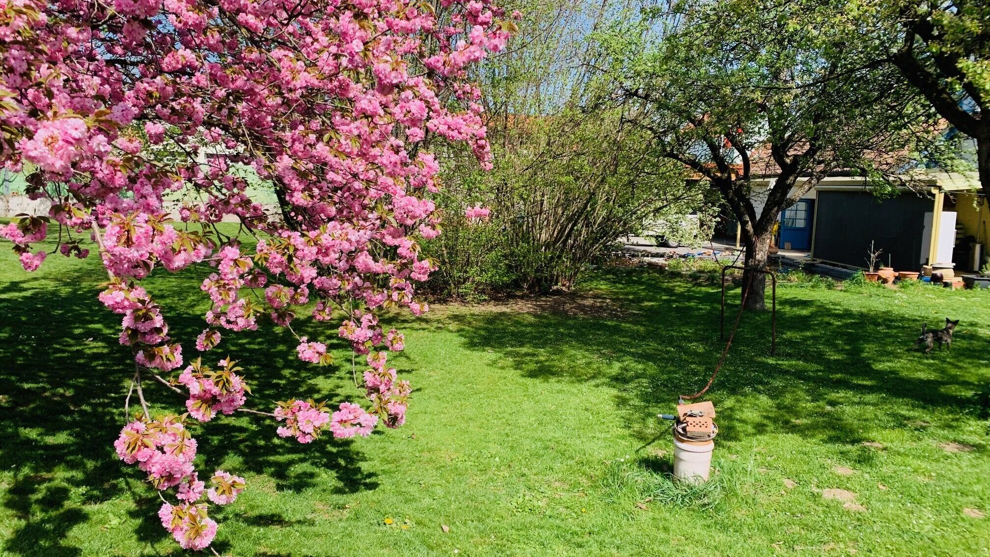 Gartenparadies