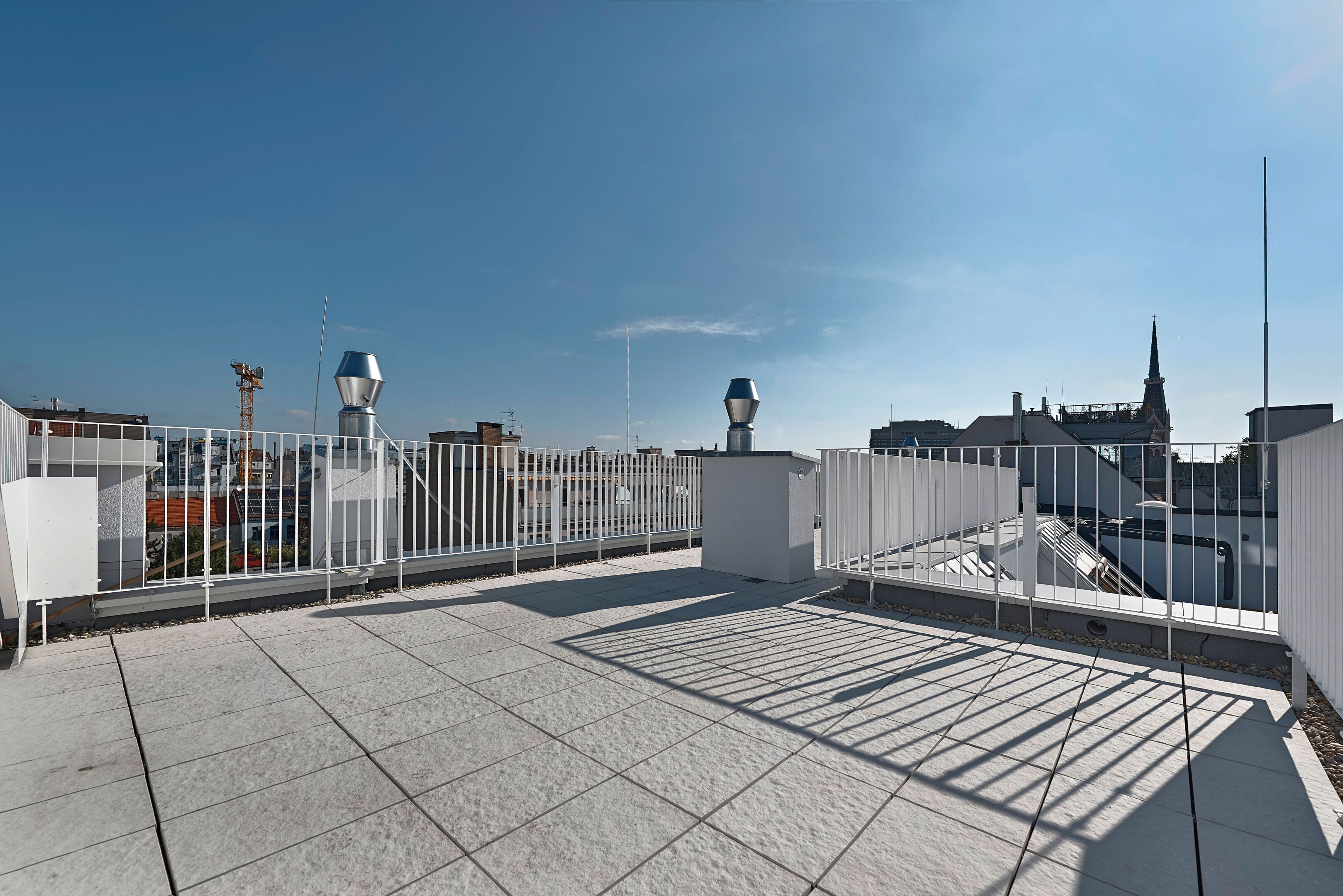 DSC3945-9622