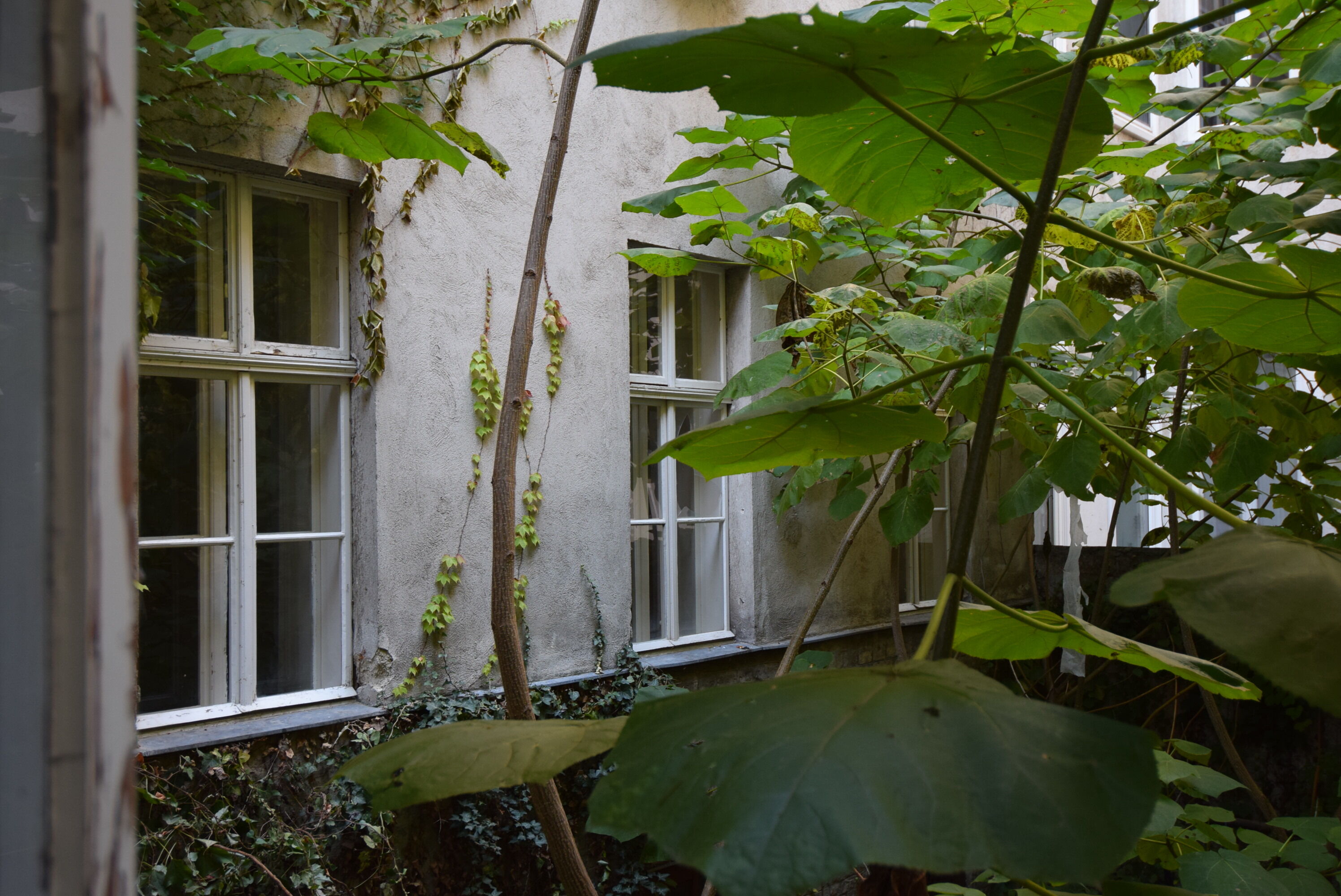 Innenhof zwischen den Trakten