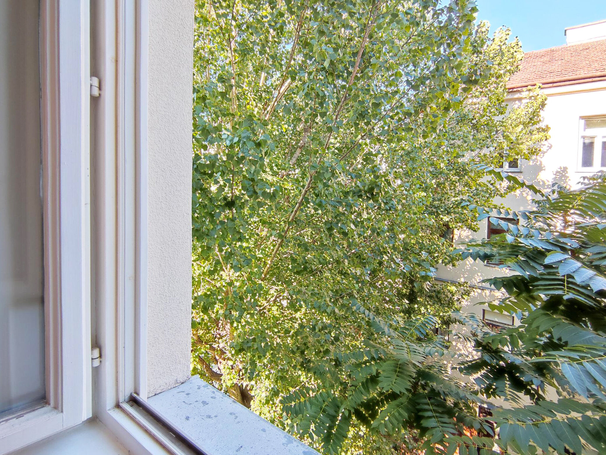 Ausblick WOhnzimmer