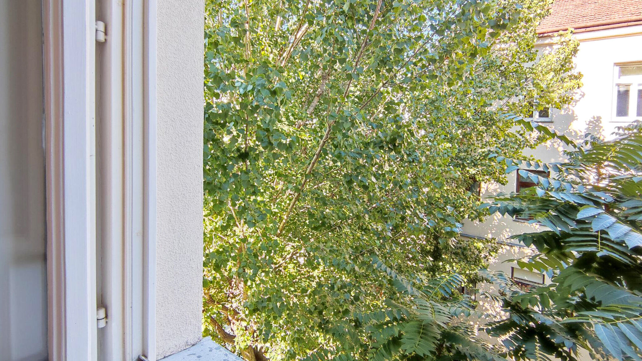 Ausblick WOhnzimmer