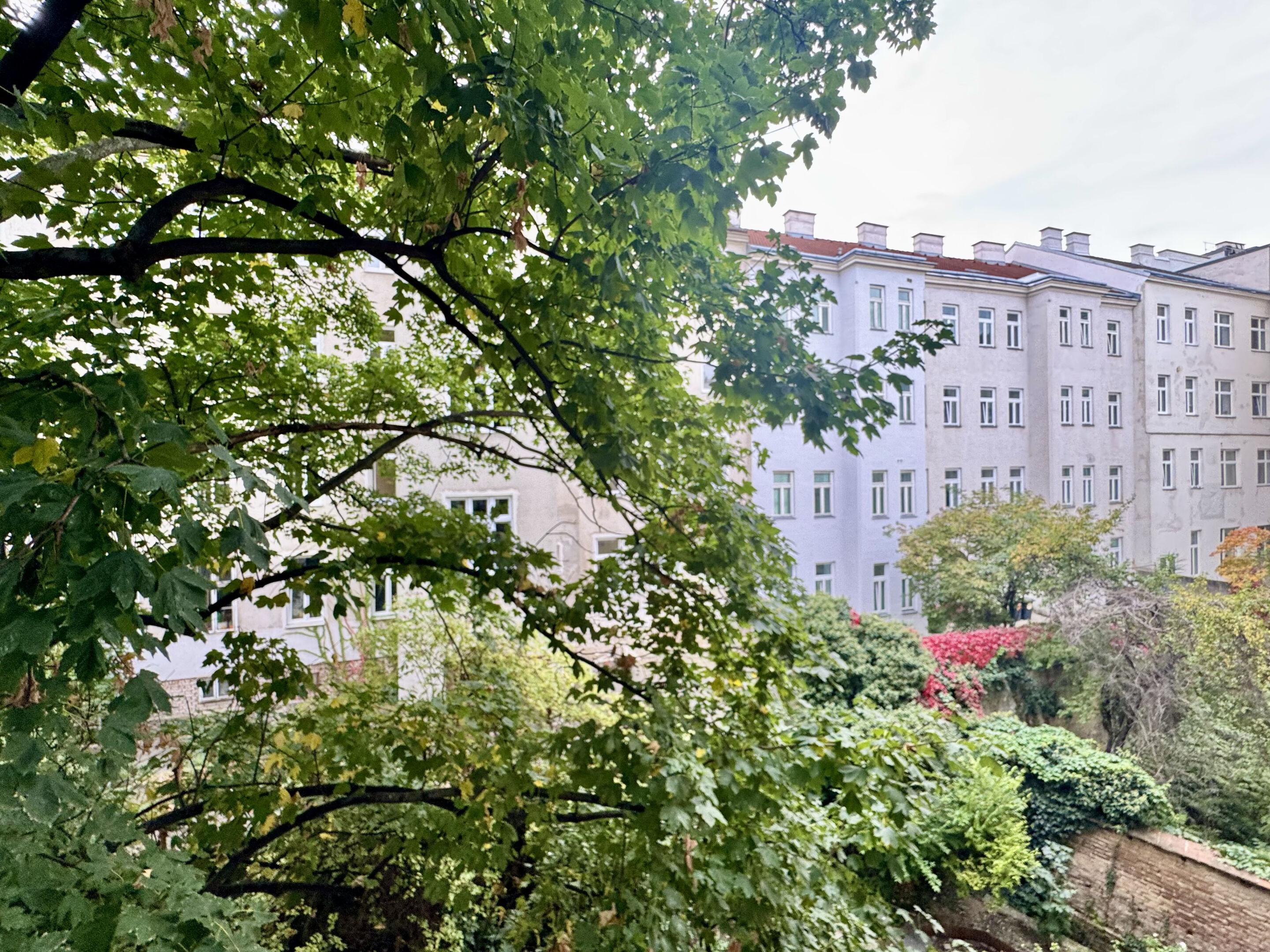 Ausblick