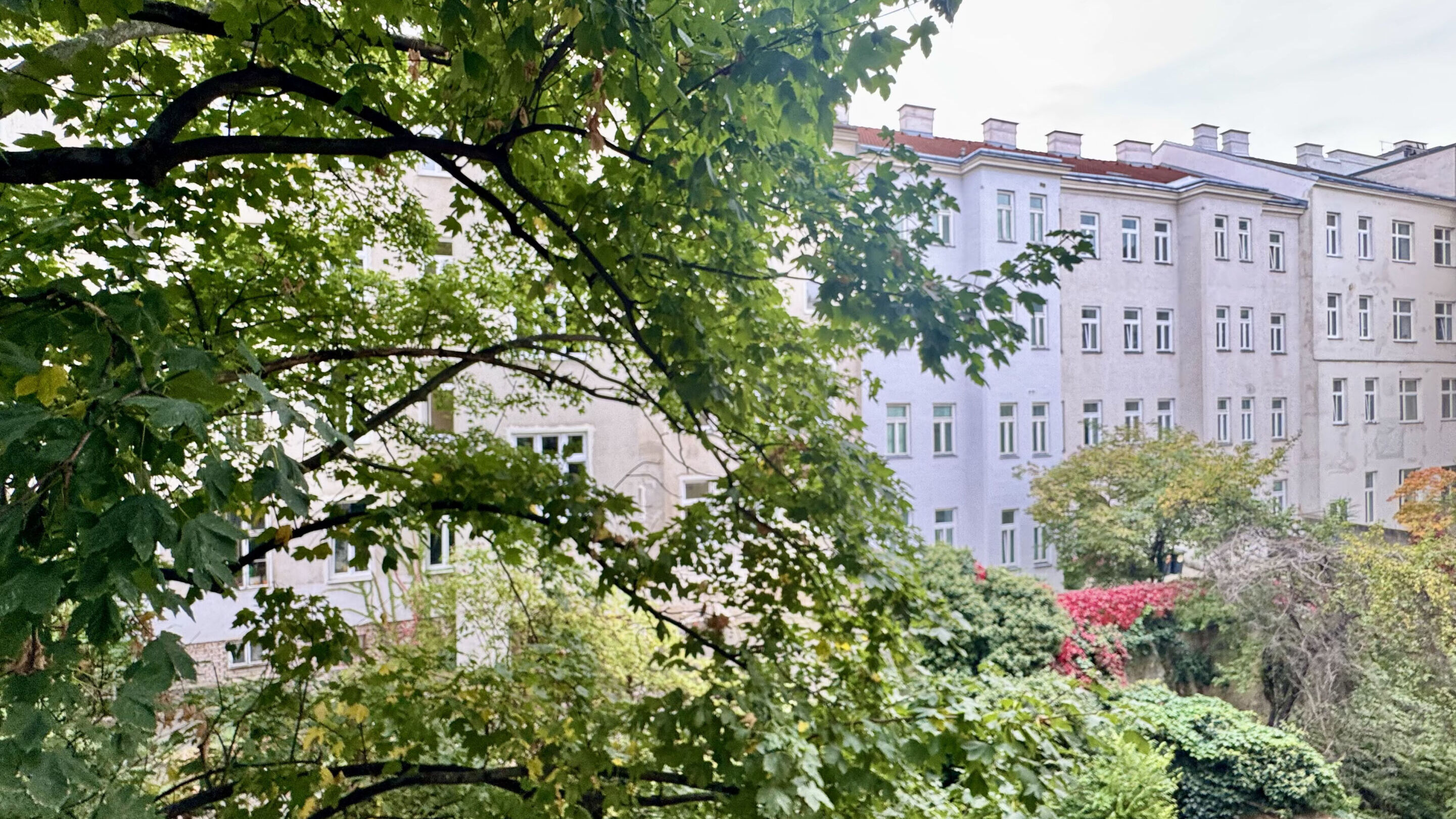 Ausblick